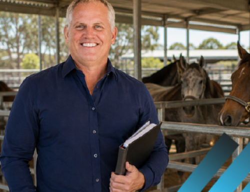 Insights On Equestrian Horse Valuation