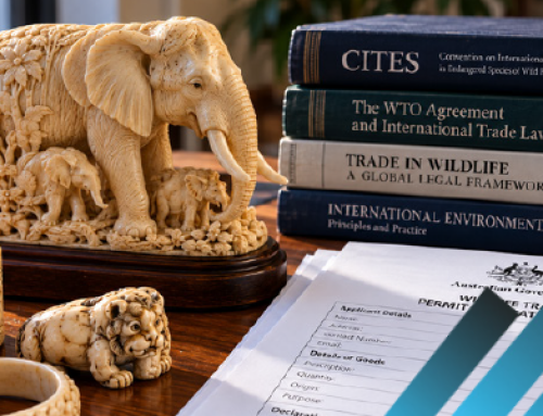 Reform On Ivory And Rhinoceros Horn Trade Needed